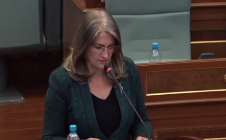 Haxhiu për Luginën: S’e ngritëm zërin fuqishëm për të treguar se atje shkelen të drejtat elementare