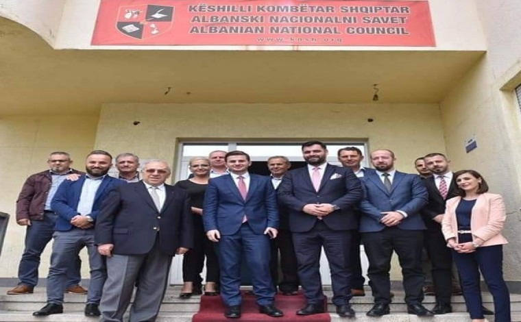 Këshilli Kombëtar Shqiptar, aktivitetet e realizuar gjatë vitit 2020