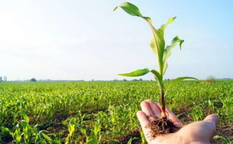 Komuna e Bujanocit shpallë kokurs për ndarjen e mjeteve në fushën e bujqësisë për vitin 2021