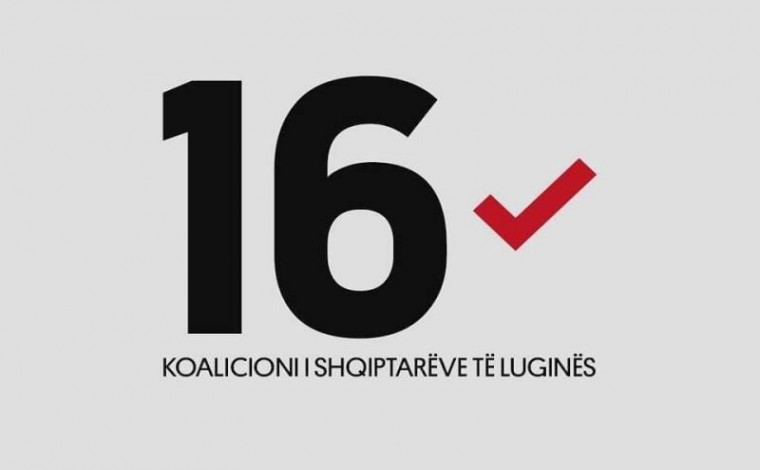 PVD ftesë për zgjedhjet parlamentare: Pjesmarrje për përfaqësim dinjitoz