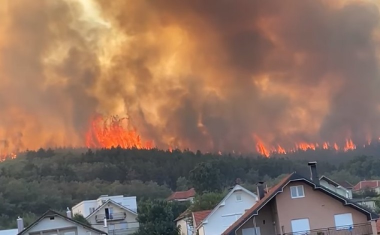 Digjen 50 hektarë mal me pisha në Corroticë të Preshevës (video)