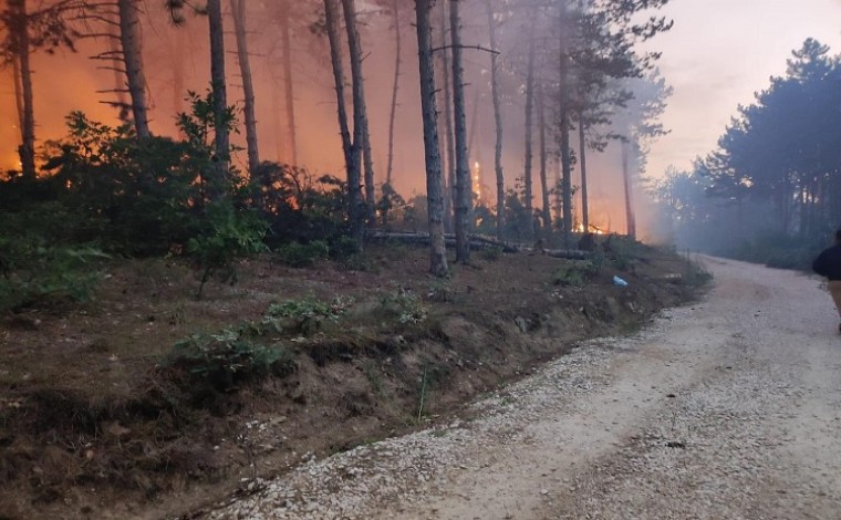 Ankohet kryetari i Preshevës, thotë që Kosova e Shqipëria po i injorojnë edhe në katastrofë natyrore