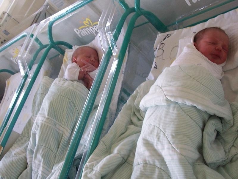 Bujanoci me numrin më të madh të lindjeve se të vdekurve në jug të Serbisë