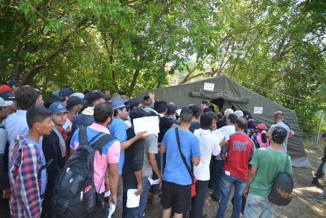 Policia e shtatë shteteve në kufirin Preshevë-Tabanoc, kërkojnë trafikantët e refugjatëve