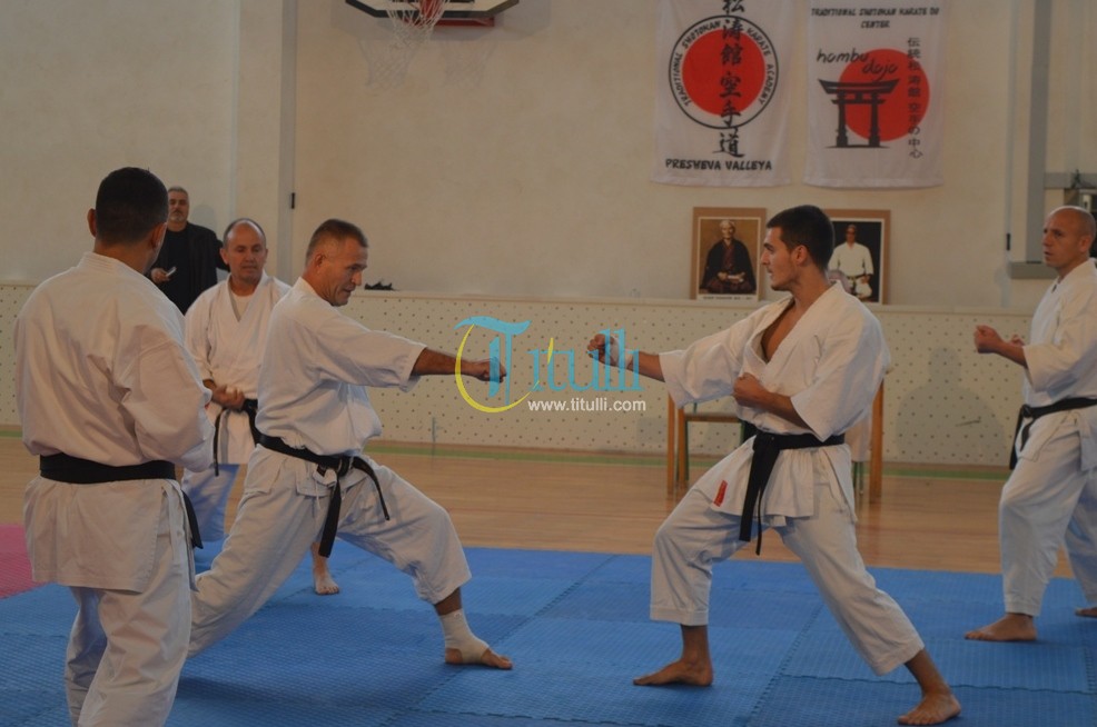 Jorga dhe Fazliu, mjeshtër të Karatesë Tradicionale zhvilluan seminar në Bujanoc (foto&video)