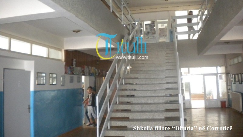 Shkolla fillore "Dituria" në fshatin Corroticë me probleme të infrastrukturës dhe mungesë të teksteve mësimorë (foto)