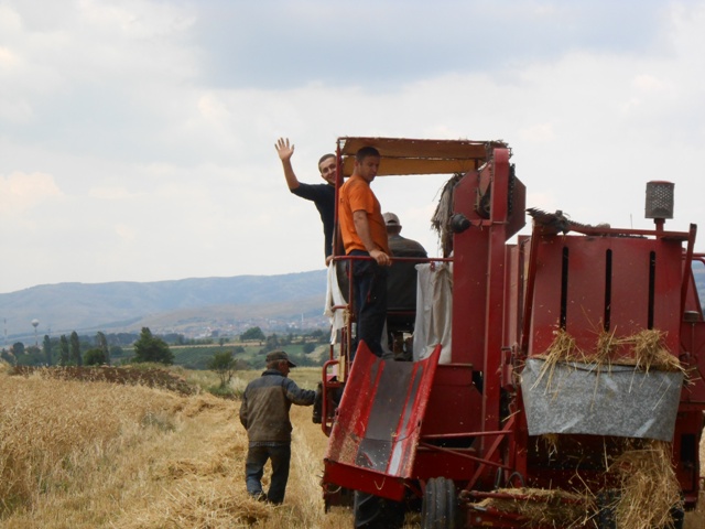 Preshevë: Korrën grurin për t’ia ndarë skamnorëve dhe jetimëve (foto)